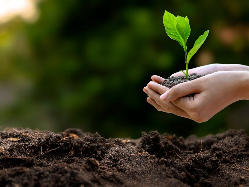 sobre-sustentabilidade-2-1